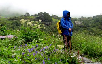 Magical 5 Days Valley Of Flowers with Badrinath Religious Vacation Package