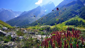 Magical 5 Days Valley Of Flowers with Badrinath Religious Vacation Package