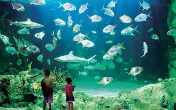 Heart-warming 8 Days New Delhi to Melbourne VIC Family Trip Package