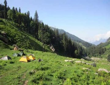 Ecstatic 5 Days 4 Nights Manali, CHIKA, BALU KA GHERA and HAMPTA PASS Wildlife Trip Package