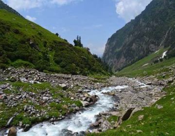Ecstatic 5 Days 4 Nights Manali, CHIKA, BALU KA GHERA and HAMPTA PASS Wildlife Trip Package