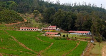 Family Getaway 4 Days Bengaluru to Coonoor Shopping Trip Package