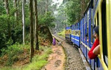 Ecstatic 4 Days Coonoor Honeymoon Trip Package