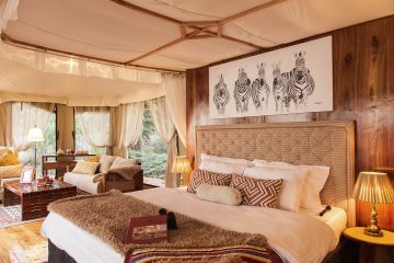 10 Days 9 Nights Kilimanjaro Friends Tour Package