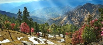 6 Days Delhi to Kausani Wildlife Trip Package
