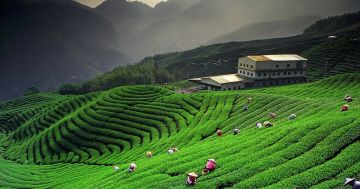 6 Days Delhi to Kausani Wildlife Trip Package