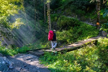 Pleasurable Manali Tour Package for 6 Days