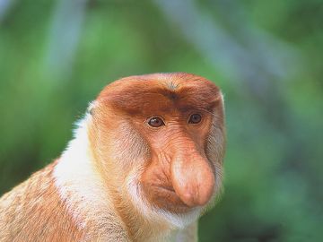 Memorable 3 Days KOTA KINABALU to Kundasang Friends Trip Package