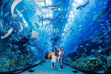 6 Days 5 Nights Havelock Family Vacation Package