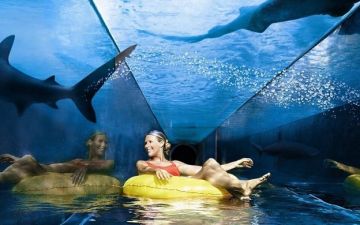 Experience 5 Nights 6 Days Dubai Vacation Package