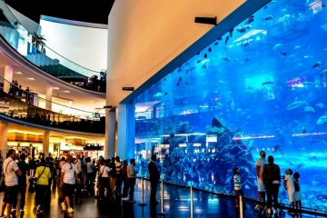 Experience 5 Nights 6 Days Dubai Vacation Package