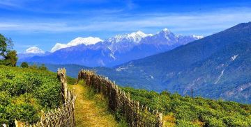 Heart-warming 7 Days Siliguri to Darjeeling Friends Holiday Package