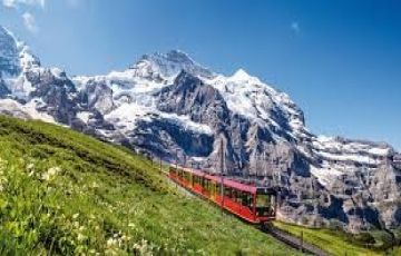 Best 9 Days New Delhi to Lucerne Nature Tour Package