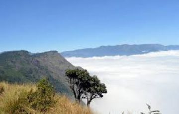 Pleasurable 3 Days Munnar Nature Tour Package