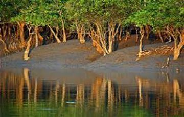 Heart-warming 3 Days Sundarban Beach Holiday Package