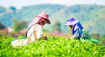 Memorable 3 Days Shillong Forest Holiday Package