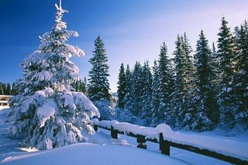 Beautiful 3 Nights 4 Days Srinagar Holiday Package by Jiyo Life Travels Private Limited