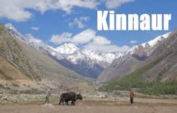 Ecstatic 8 Days Delhi to Shimla Wildlife Holiday Package