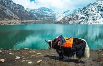 Experience 5 Days Sillery Gaon Trip Package