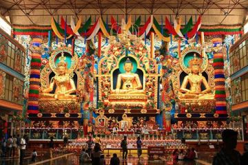 Best Waynad Tour Package for 5 Days from Bengaluru