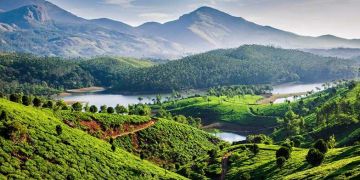 Pleasurable 8 Days 7 Nights Thekkady Holiday Package