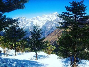 Experience 7 Days Siliguri to Gangtok Shopping Trip Package