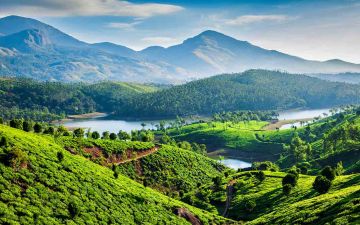 7 Days Munnar, Alleppey, Thekkady with Kovalam Hill Stations Holiday Package