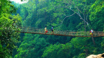 Beautiful 6 Days 5 Nights Cherrapunji Hill Stations Holiday Package