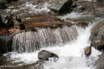 Experience 4 Days 3 Nights Bhrighu Lake Family Vacation Package