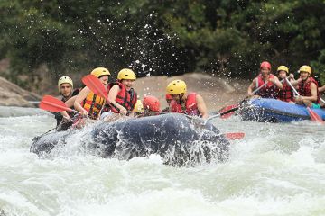 Memorable 8 Days Katunayake to Adams Peak Tour Package