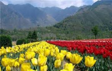 Experience 6 Days Srinagar to Sonmarg Vacation Package