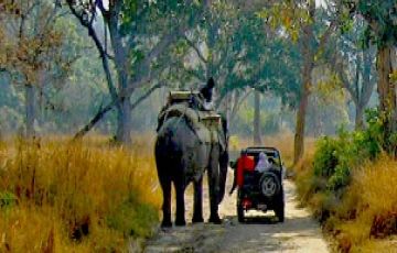 Beautiful 4 Days 3 Nights Corbett Romance Holiday Package