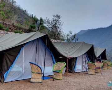 Amazing 2 Days Rishikesh Wildlife Trip Package