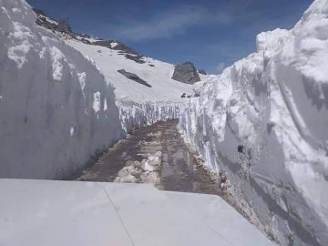 8 Days 7 Nights SHIMLA Gurudwara Holiday Package