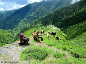 Family Getaway 6 Days Chakrata Hill Stations Holiday Package
