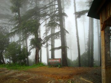 Best 4 Days Mussoorie Hill Stations Trip Package