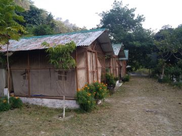 2 Days Rishikesh, Rajaji National Park and Rafting Wildlife Vacation Package