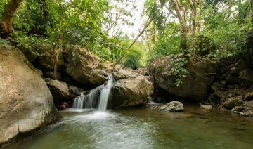 Ecstatic 2 Days Rishikesh Trek Holiday Package