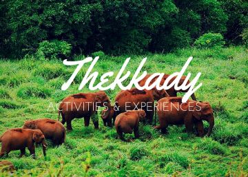 Heart-warming 5 Days Delhi, Mumbai, Etc to Thekkady Wildlife Vacation Package