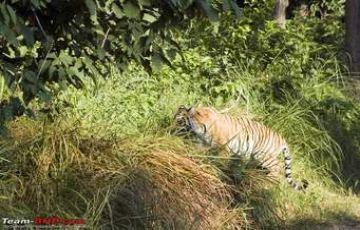 Beautiful 2 Days Ramnagar Trek Trip Package