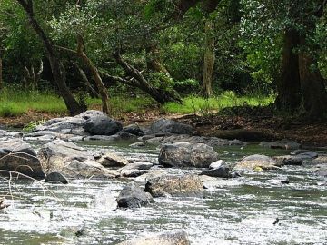 Magical 3 Days Wayanad Hill Stations Vacation Package