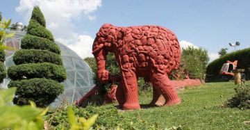 Magical 10 Days Dharamshala Honeymoon Holiday Package