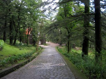 Magical 10 Days Dharamshala Honeymoon Holiday Package