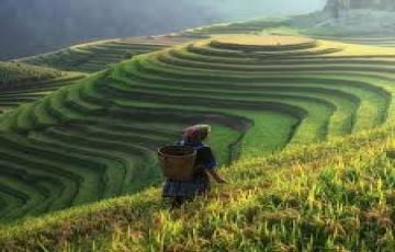 Darjeeling Resort Tour Package for 6 Days