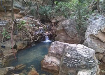 BEAUTIFUL COASTAL WITH DANDELI AND GOKARNA