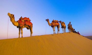 Heart-warming 9 Days Ajmer Honeymoon Holiday Package