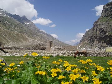 Family Getaway 7 Days Sangla Tour Package