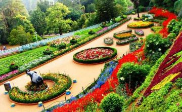 5 Days Coorg, Ooty, Coonoor with Madikeri Wildlife Holiday Package