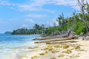 Experience 4 Days Port Blair Massage Holiday Package