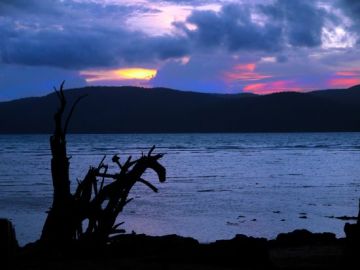 Pleasurable 5 Days After Arrival At Port Blair to Andaman And Nicobar Islands Tour Package